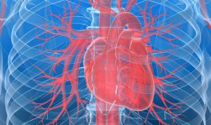 transesophageal echocardiography